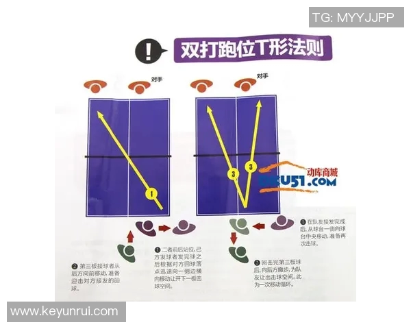 乒乓球新手必看:从零基础到比赛高手的实用经验分享与技巧总结 乒乓球新手必看:从零基础到比赛高手的实用经验分享与技巧总结